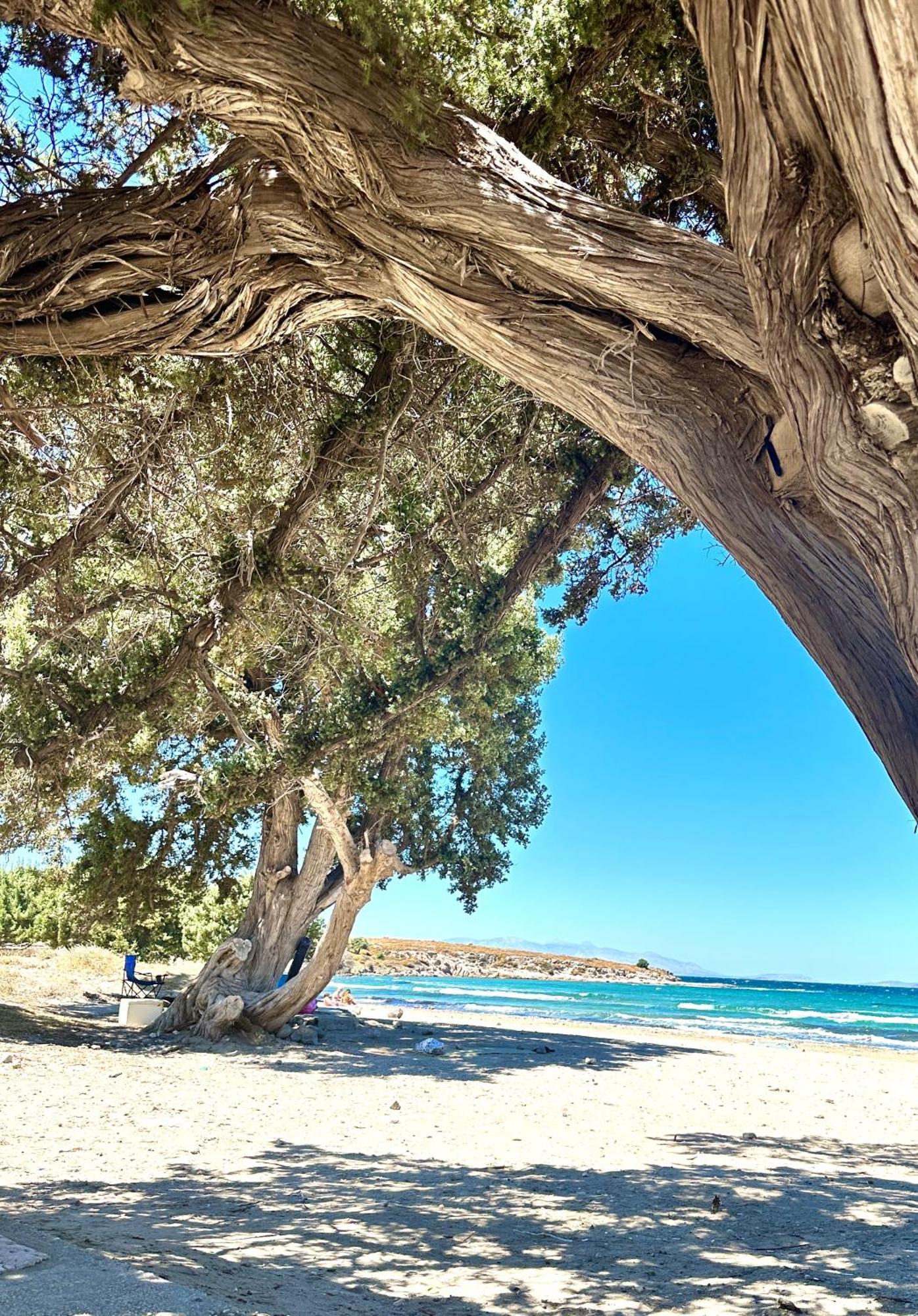 Marissa Boutique Hotel Çeşme Exteriér fotografie