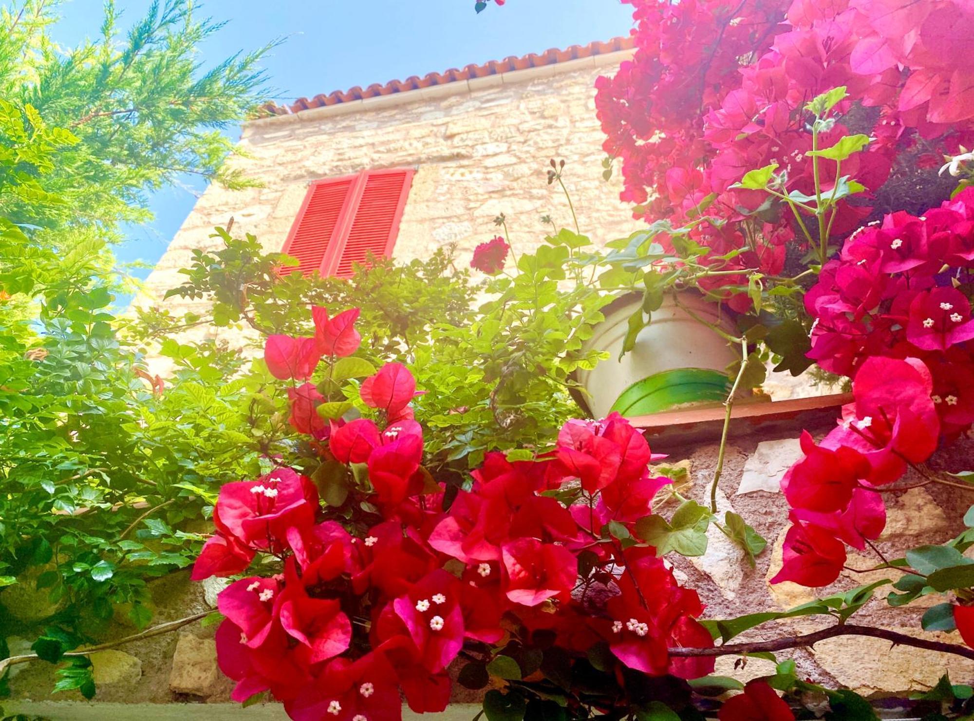 Marissa Boutique Hotel Çeşme Exteriér fotografie